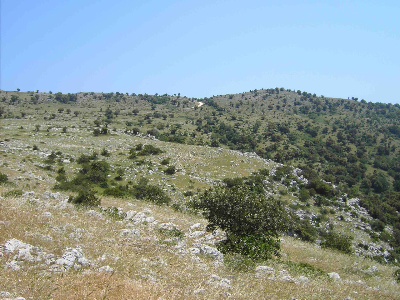 Comune di Apricena
