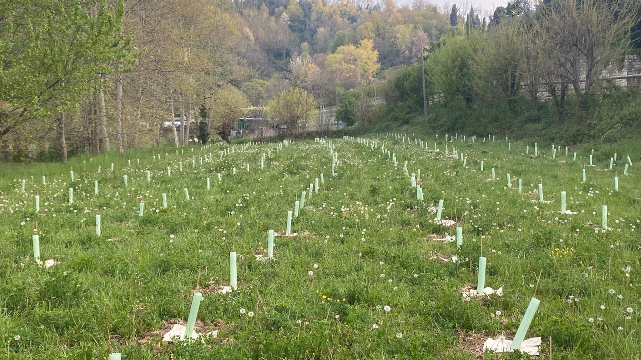 Comune di Bagnatica (BG)