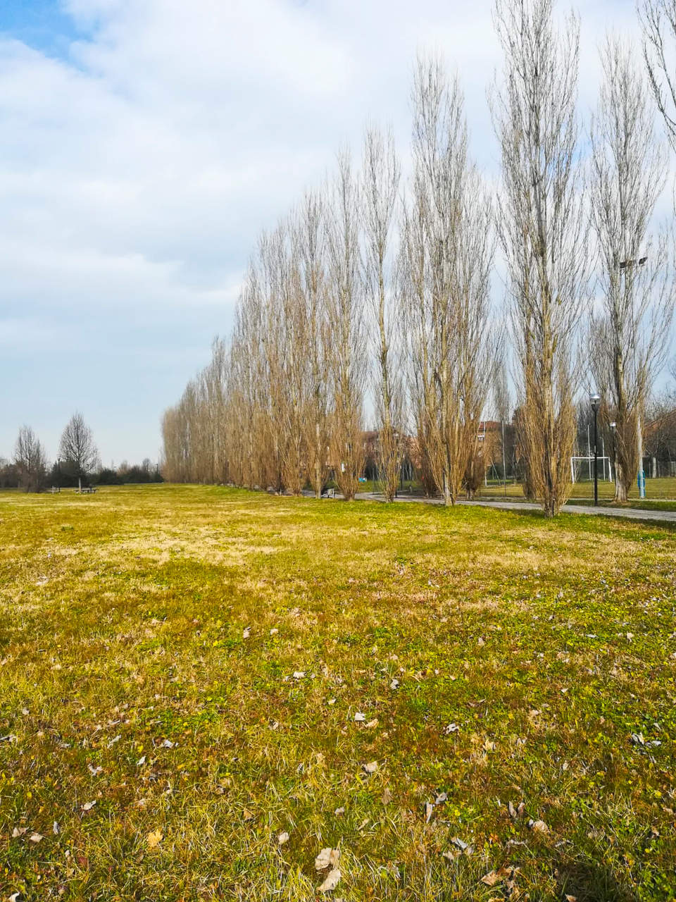 Comune di Reggio Emilia
