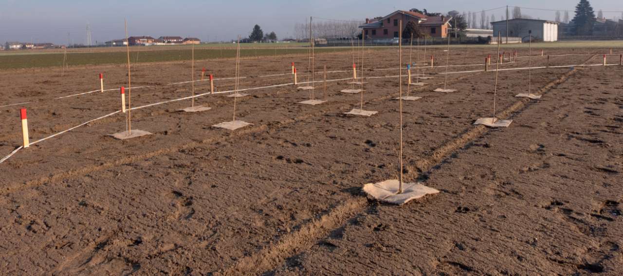 Comune di Carmagnola