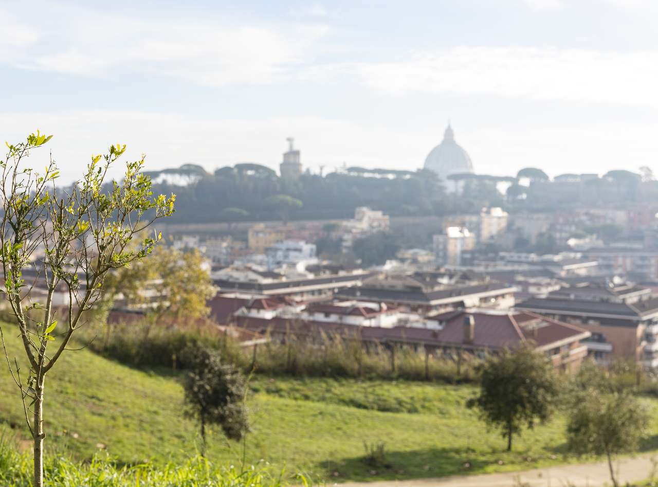 Comune di Roma, Monte Ciocci