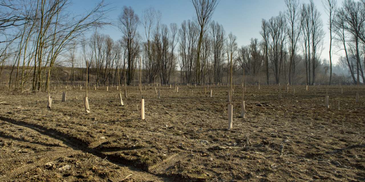 Parco del Mincio e aree golenali del Po