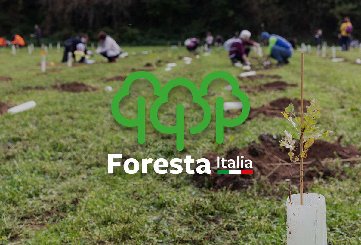 Foresta italia