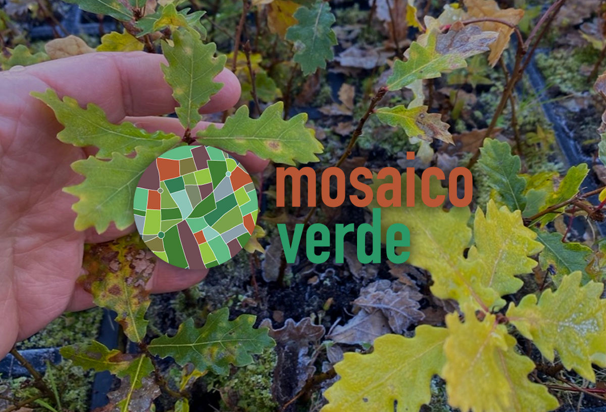 Mosaico verde
