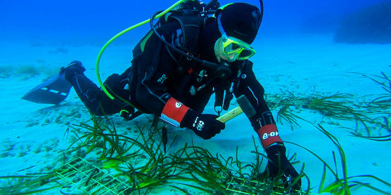 Progetto poseidonia