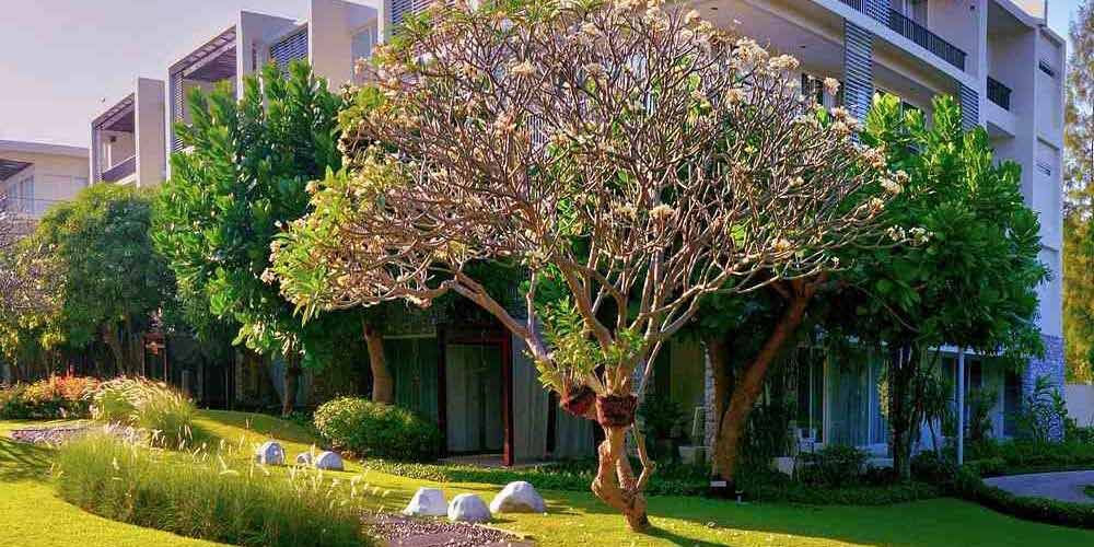 Palazzi circondati dal verde: il futuro green dei condomìni passa anche attraverso offerte energetiche dedicate 