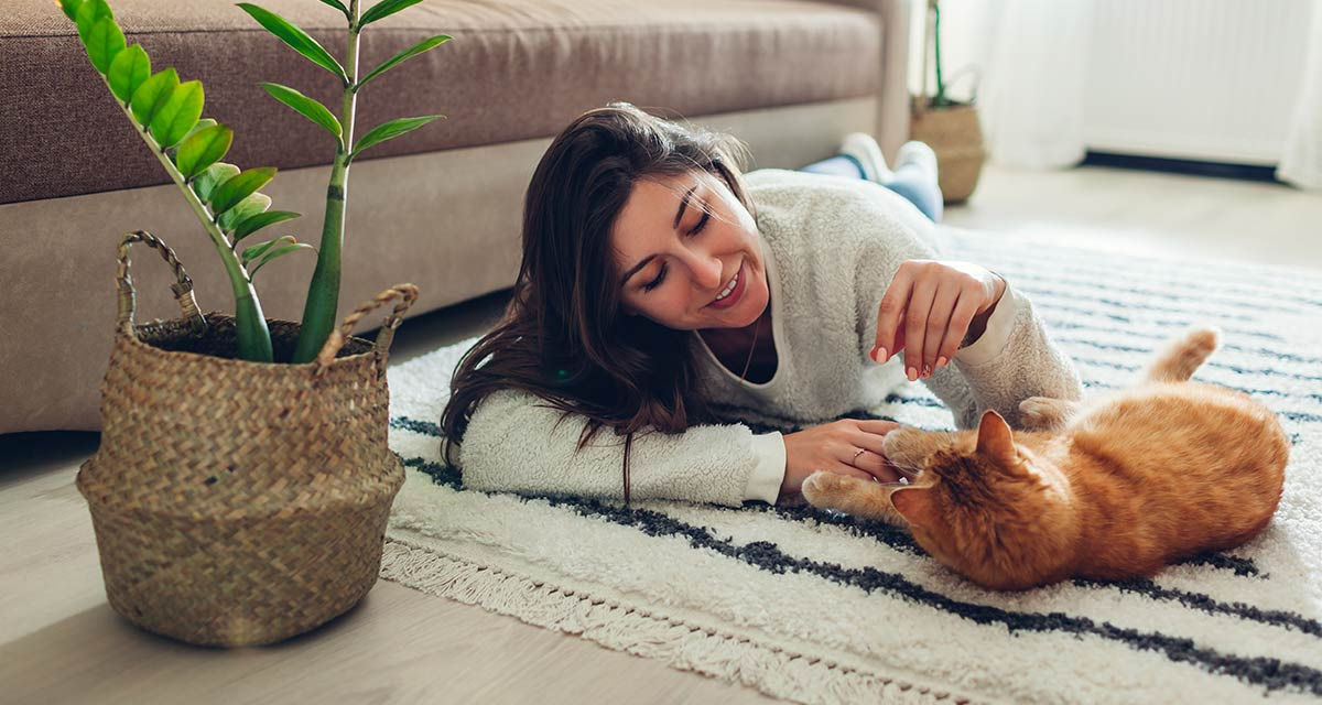 Una giovane donna gioca con un gatto sul tappeto in un soggiorno riscaldato da un termoconvettore