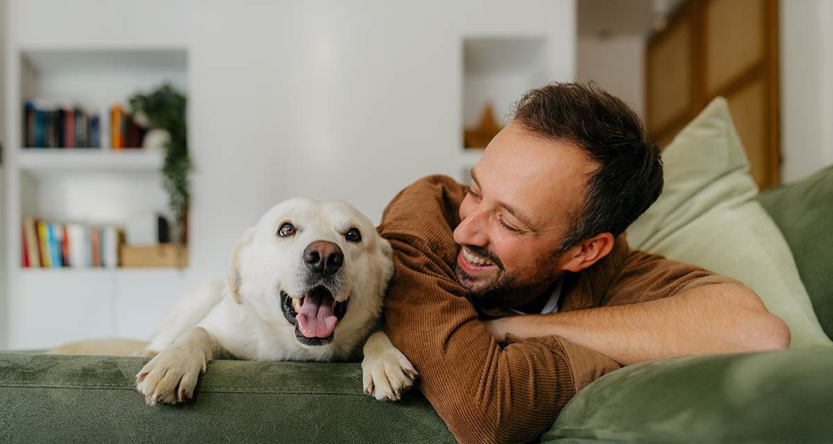 Un giovane uomo e un cane giocano in un soggiorno riscaldato con un impianto a soffitto